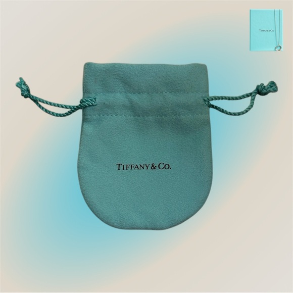 Tiffany & Co. Accessories - 🛍️SALE🛍️ Tiffany & Co. Teal Drawstring Jewelry Pouch